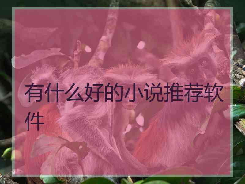 有什么好的小说推荐软件