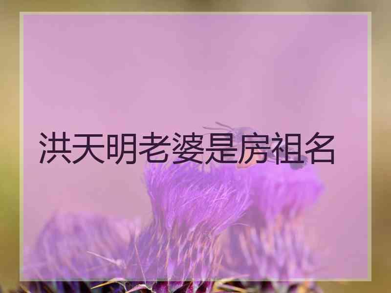 洪天明老婆是房祖名