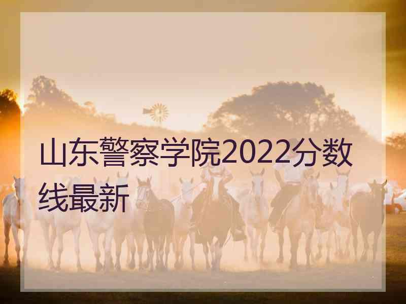 山东警察学院2022分数线最新