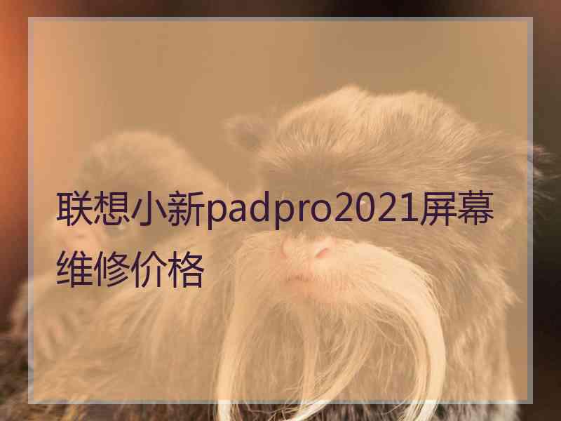 联想小新padpro2021屏幕维修价格