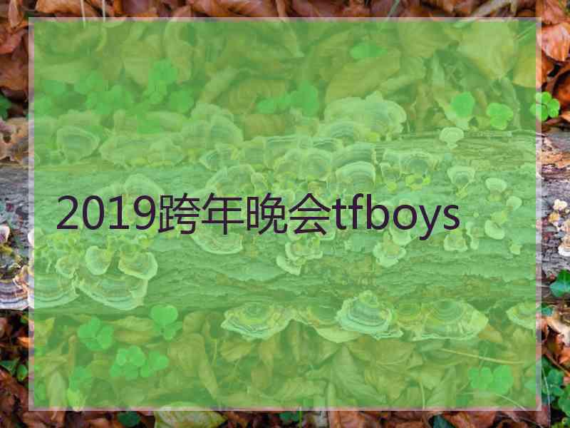 2019跨年晚会tfboys