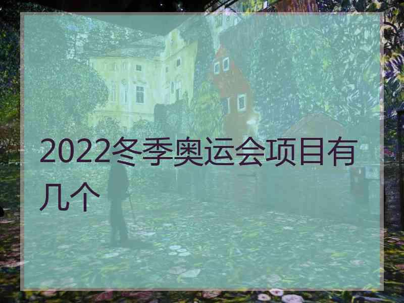 2022冬季奥运会项目有几个