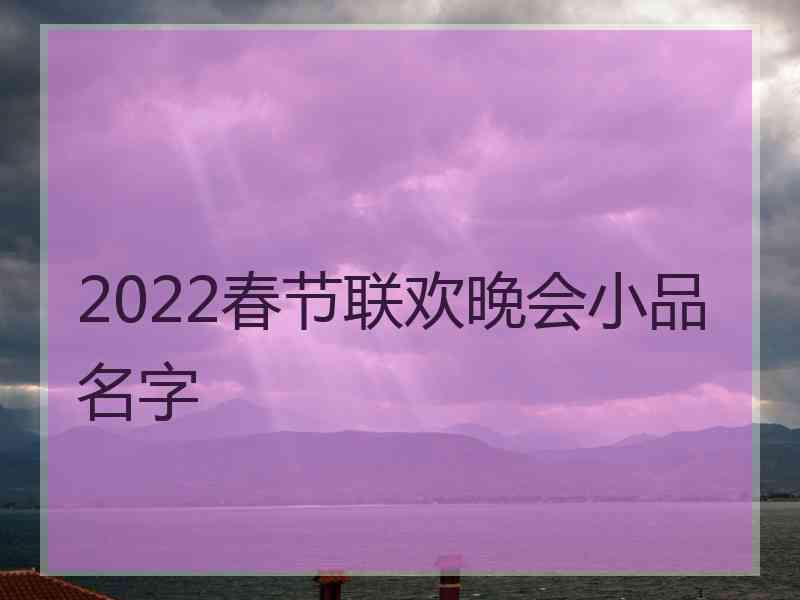 2022春节联欢晚会小品名字