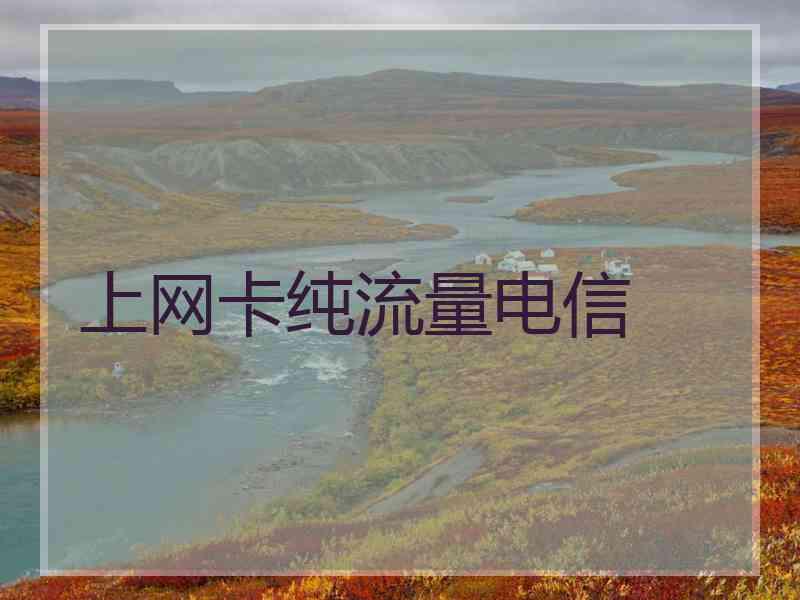 上网卡纯流量电信