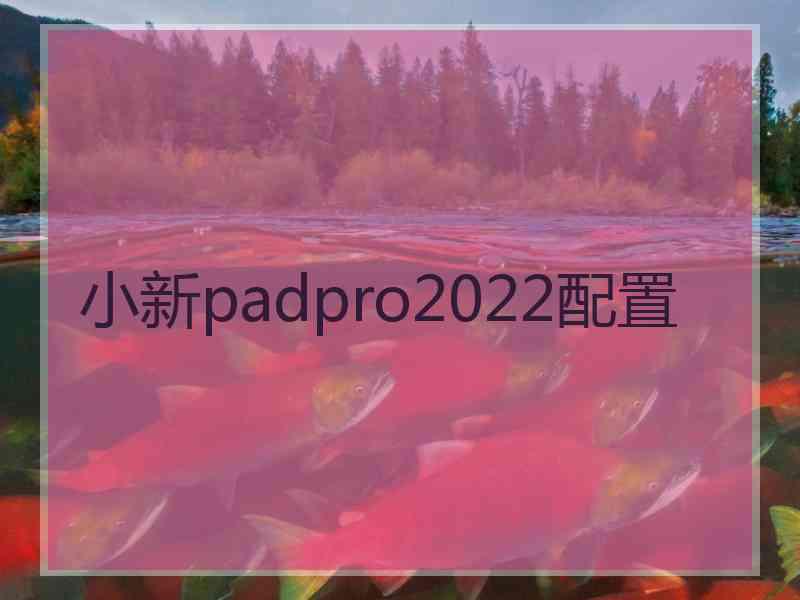 小新padpro2022配置