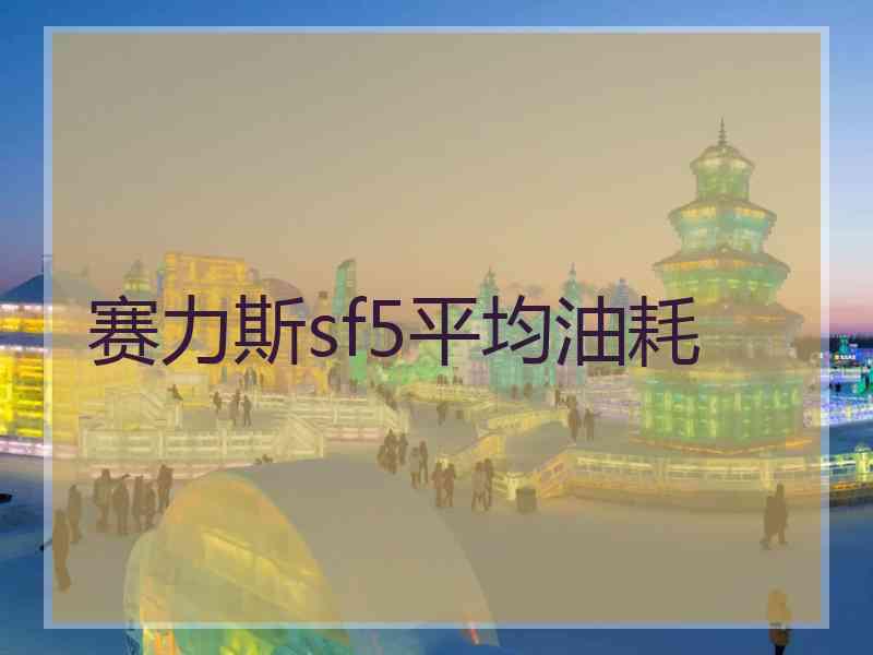 赛力斯sf5平均油耗