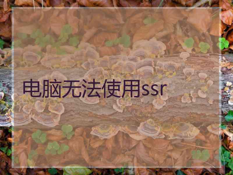 电脑无法使用ssr