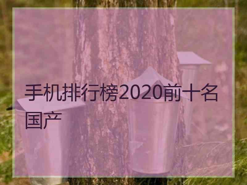 手机排行榜2020前十名国产