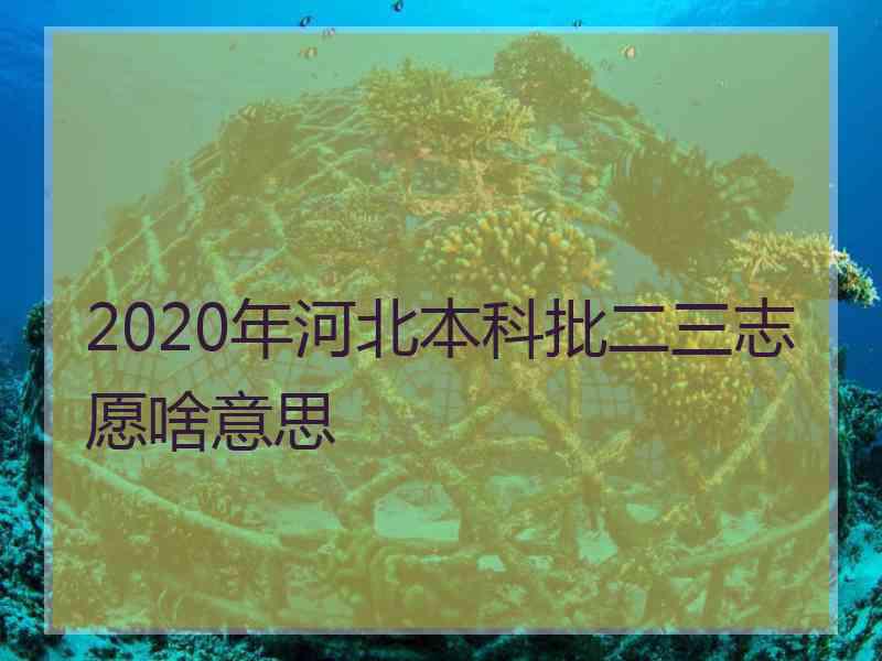 2020年河北本科批二三志愿啥意思