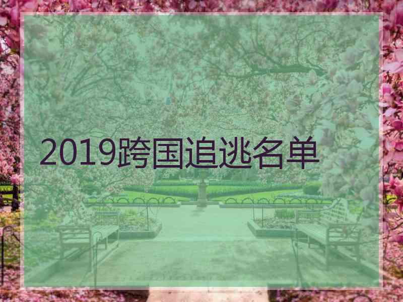 2019跨国追逃名单