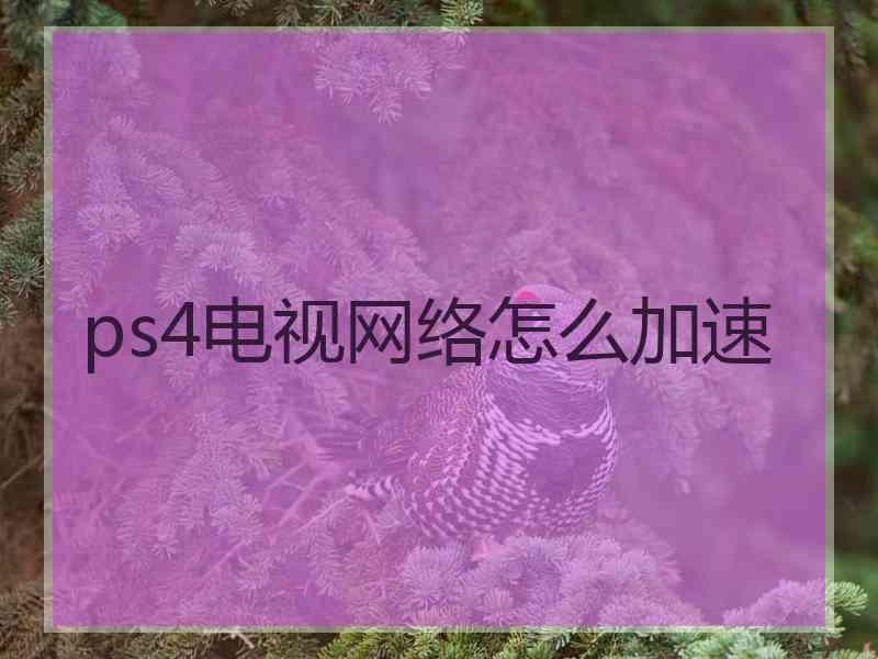 ps4电视网络怎么加速