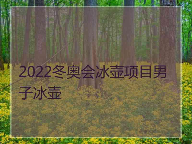 2022冬奥会冰壶项目男子冰壶