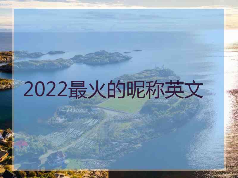 2022最火的昵称英文