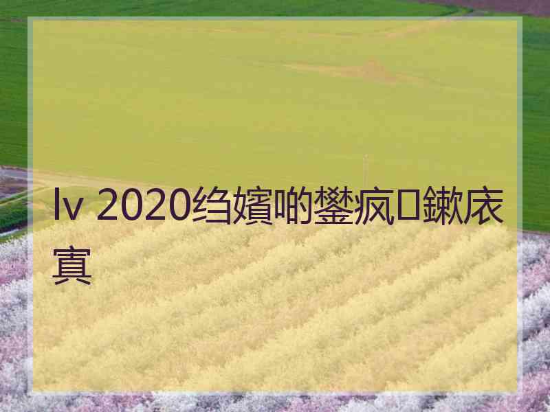 lv 2020绉嬪啲鐢疯鏉庡寘