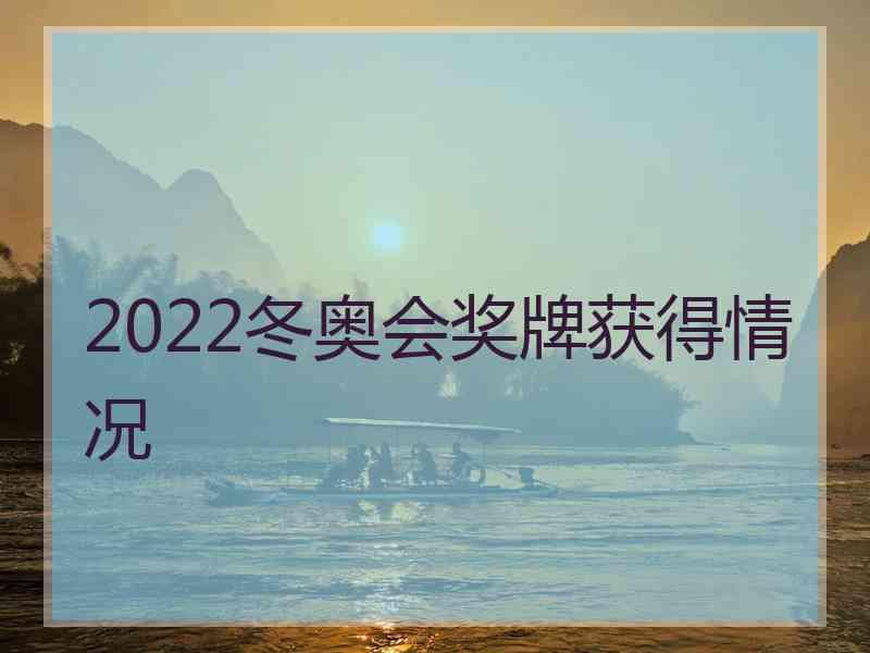 2022冬奥会奖牌获得情况