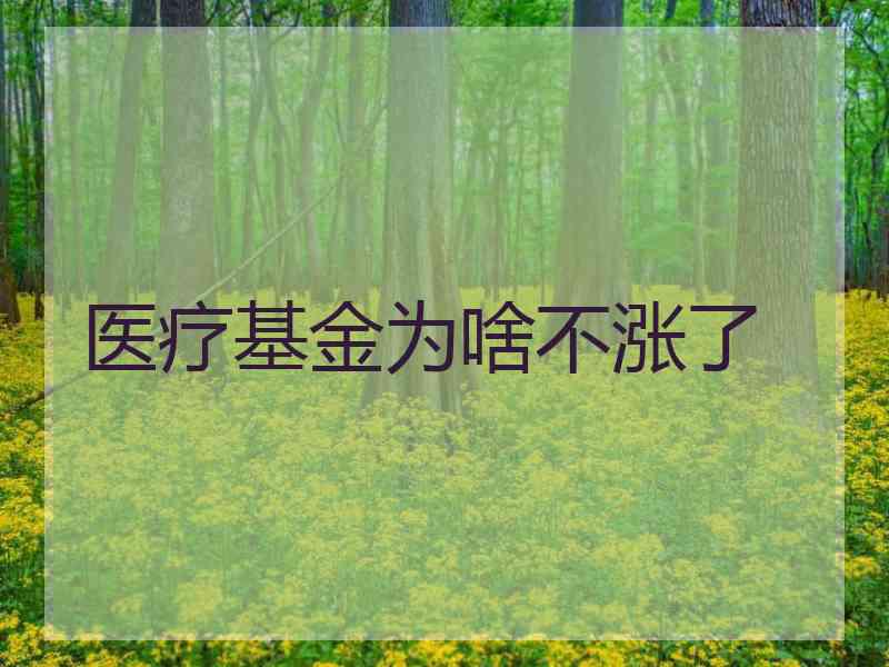 医疗基金为啥不涨了