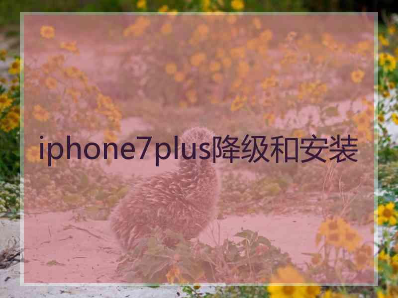 iphone7plus降级和安装