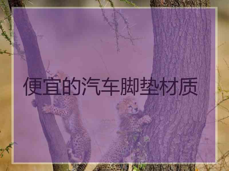 便宜的汽车脚垫材质