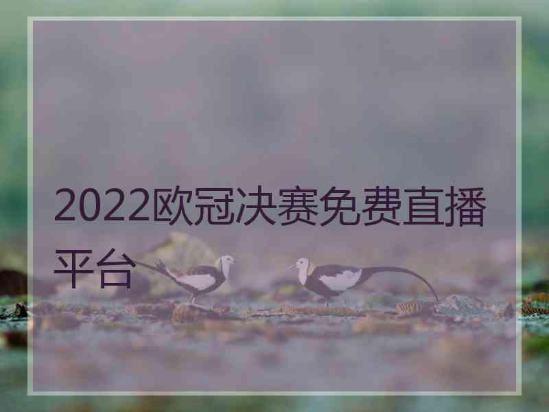 2022欧冠决赛免费直播平台