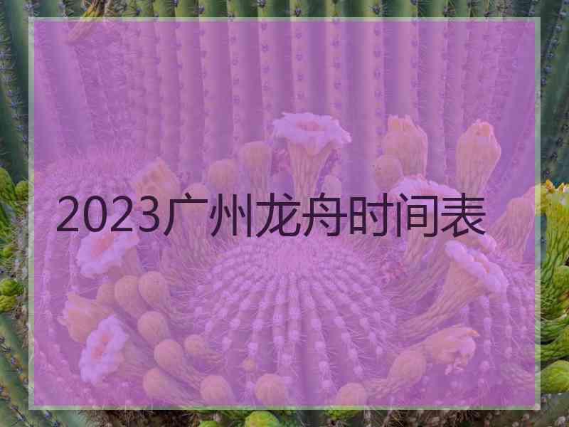 2023广州龙舟时间表