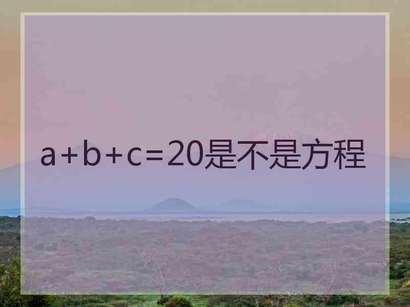 a+b+c=20是不是方程
