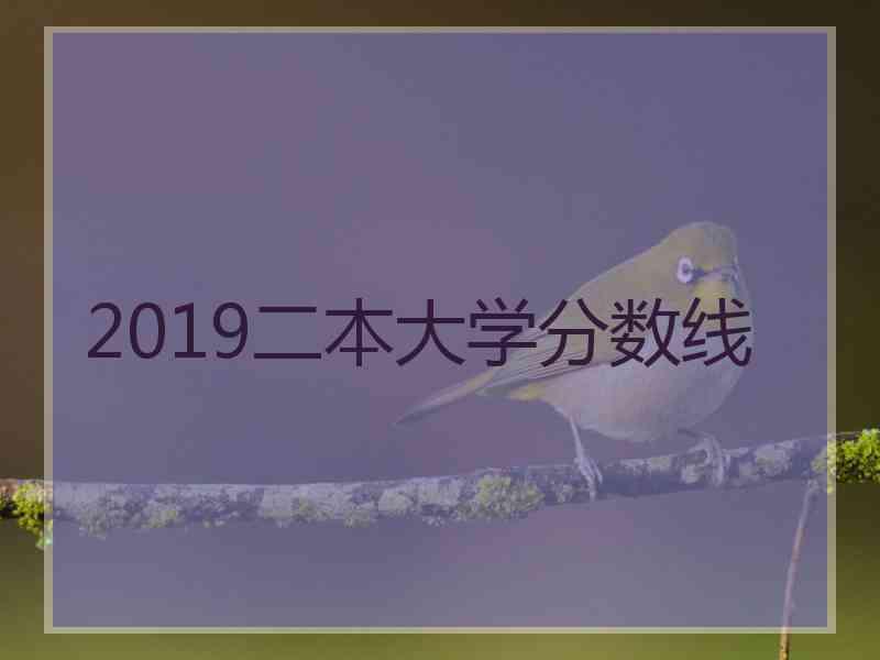 2019二本大学分数线