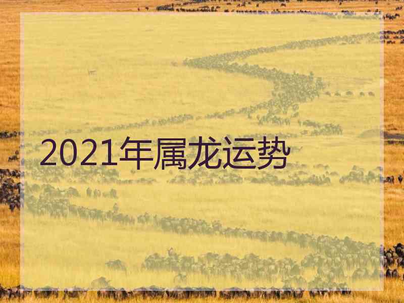 2021年属龙运势