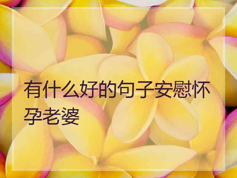 有什么好的句子安慰怀孕老婆
