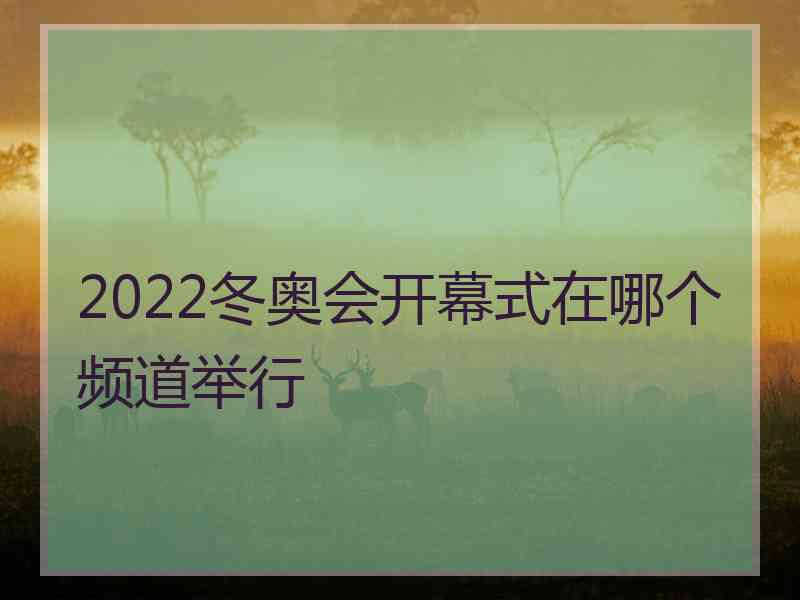 2022冬奥会开幕式在哪个频道举行