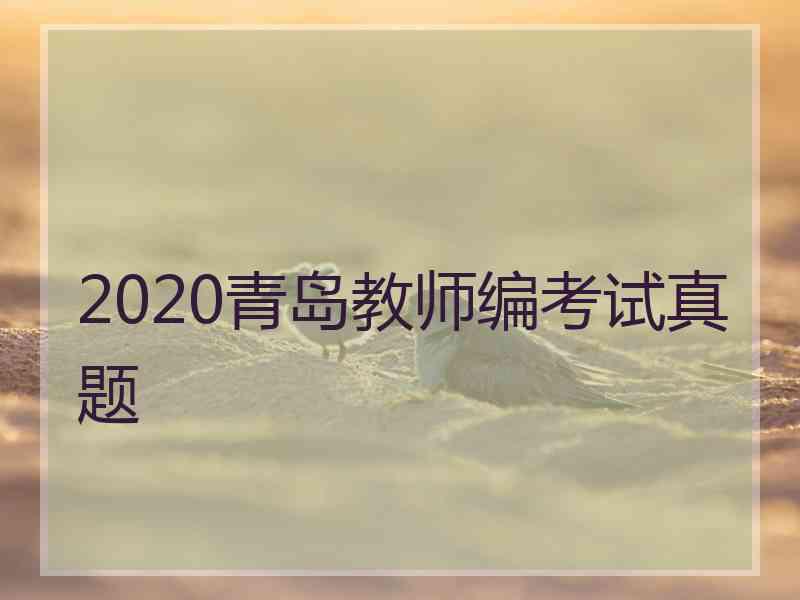 2020青岛教师编考试真题