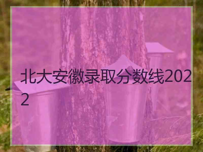 北大安徽录取分数线2022