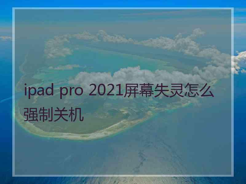 ipad pro 2021屏幕失灵怎么强制关机