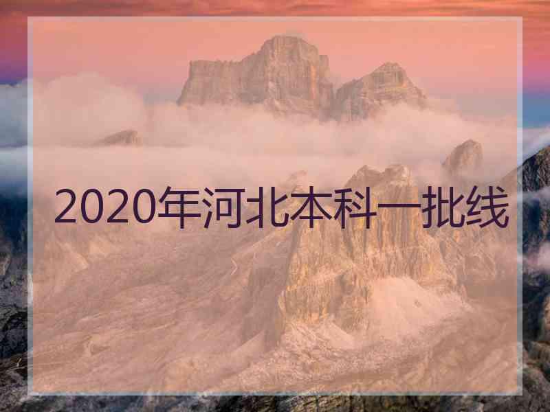 2020年河北本科一批线