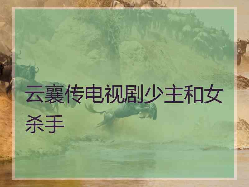 云襄传电视剧少主和女杀手