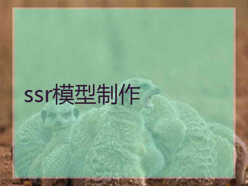 ssr模型制作
