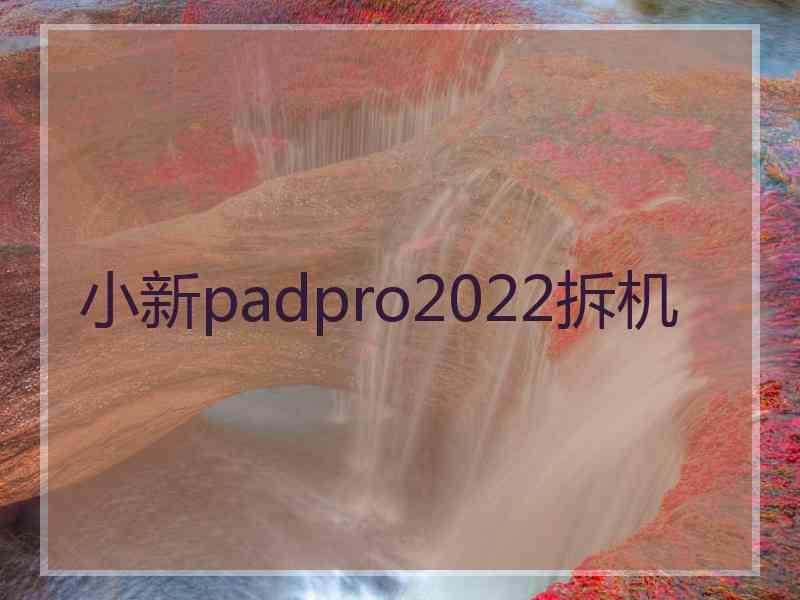 小新padpro2022拆机