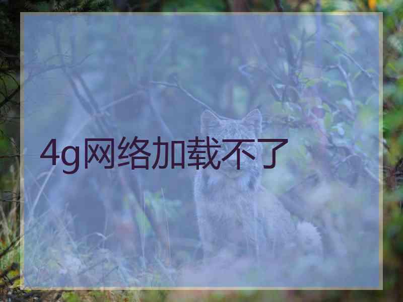 4g网络加载不了