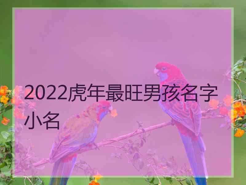2022虎年最旺男孩名字小名