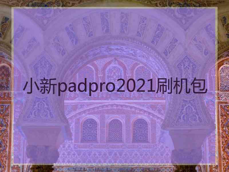 小新padpro2021刷机包