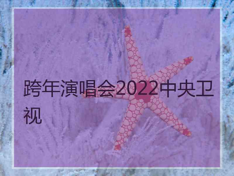 跨年演唱会2022中央卫视