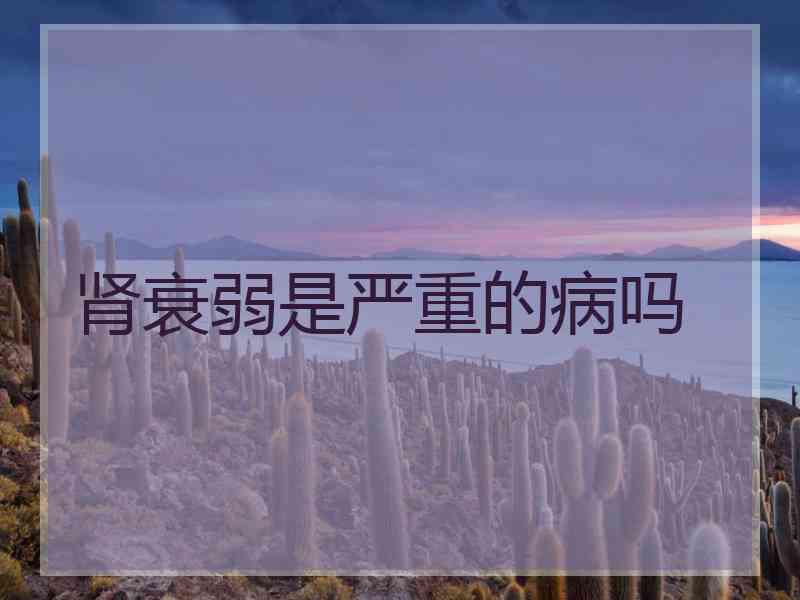 肾衰弱是严重的病吗