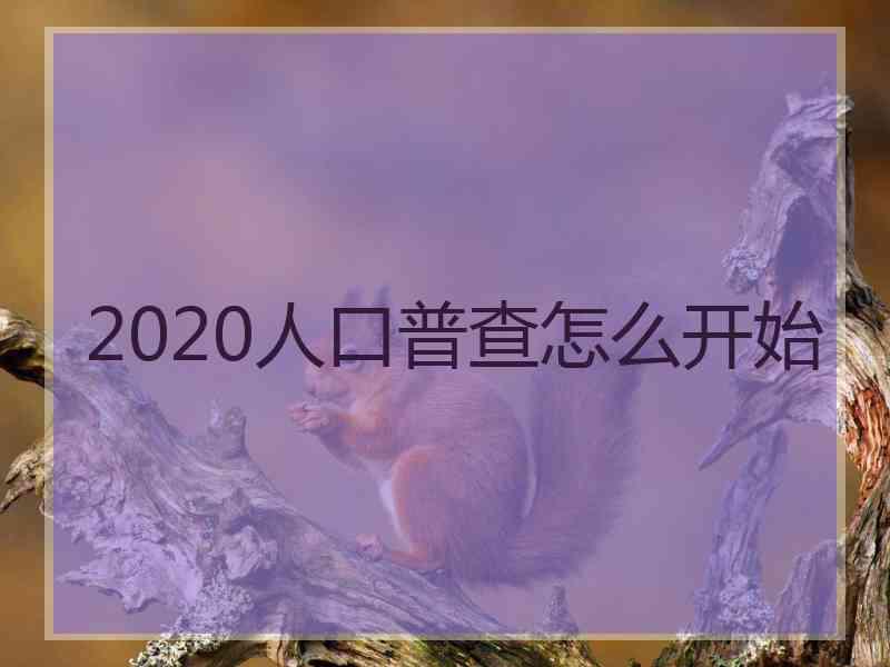 2020人口普查怎么开始