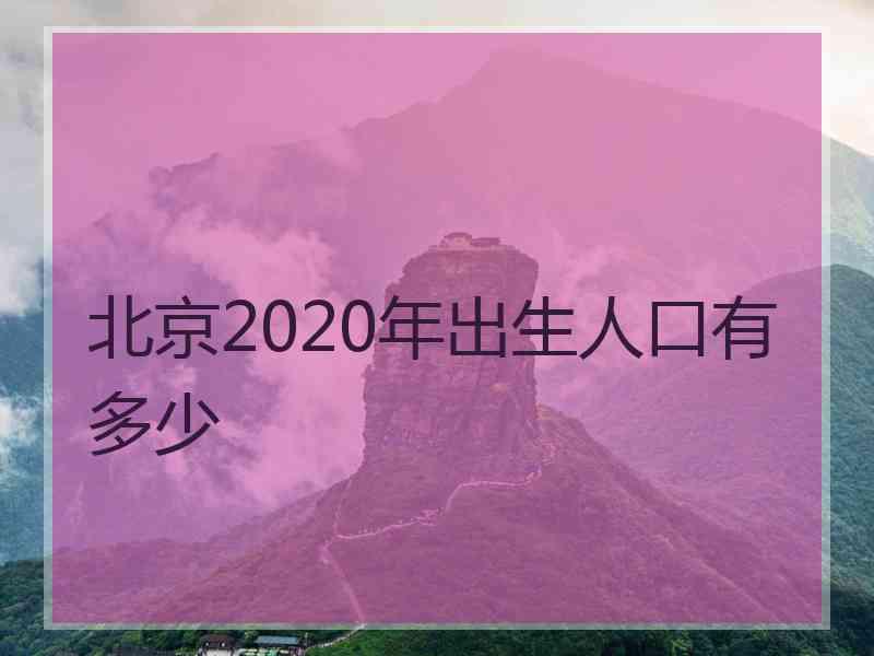 北京2020年出生人口有多少