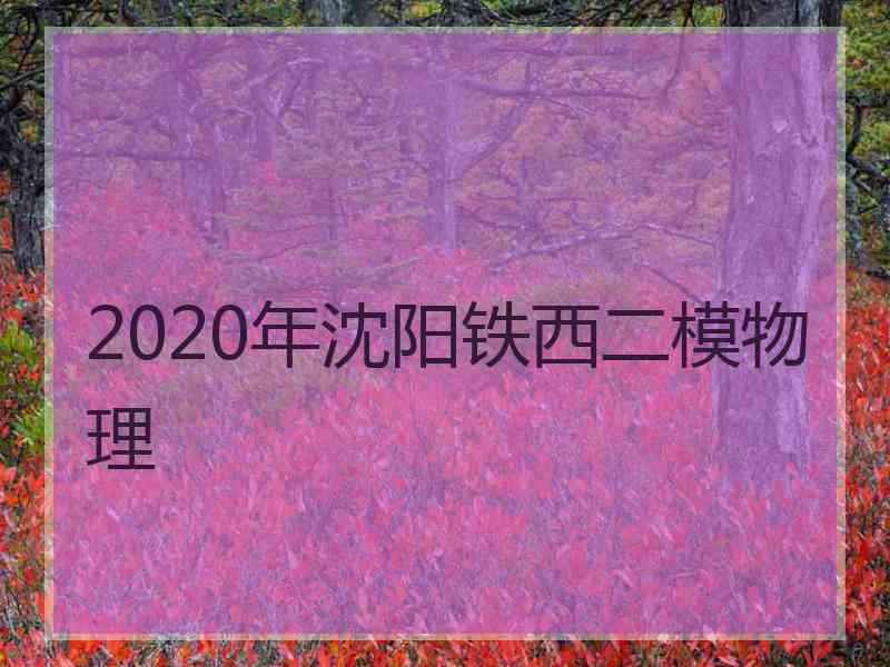 2020年沈阳铁西二模物理