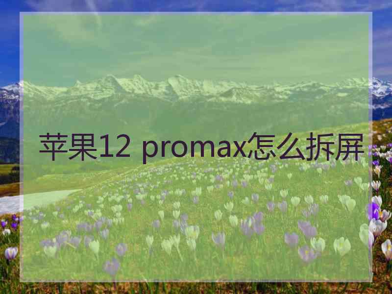 苹果12 promax怎么拆屏