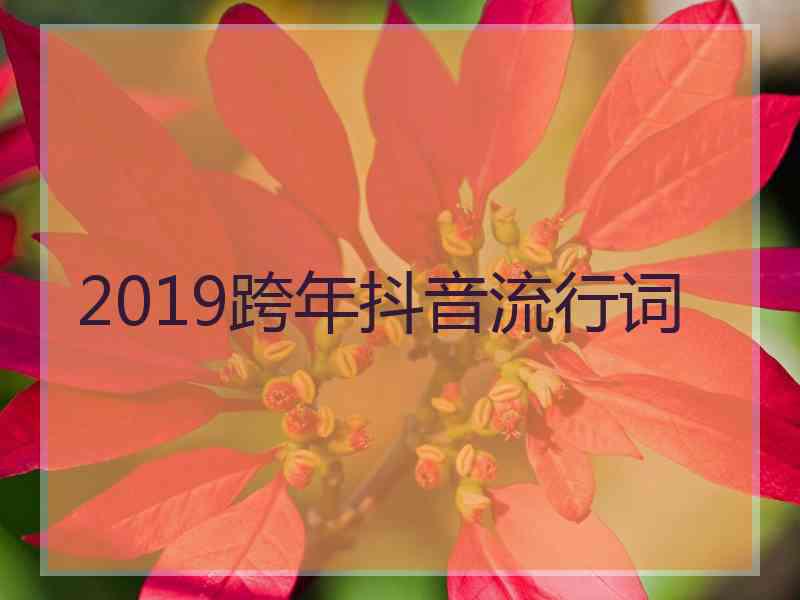2019跨年抖音流行词