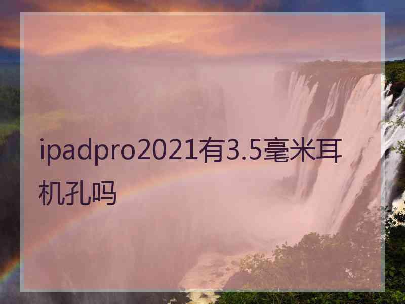 ipadpro2021有3.5毫米耳机孔吗