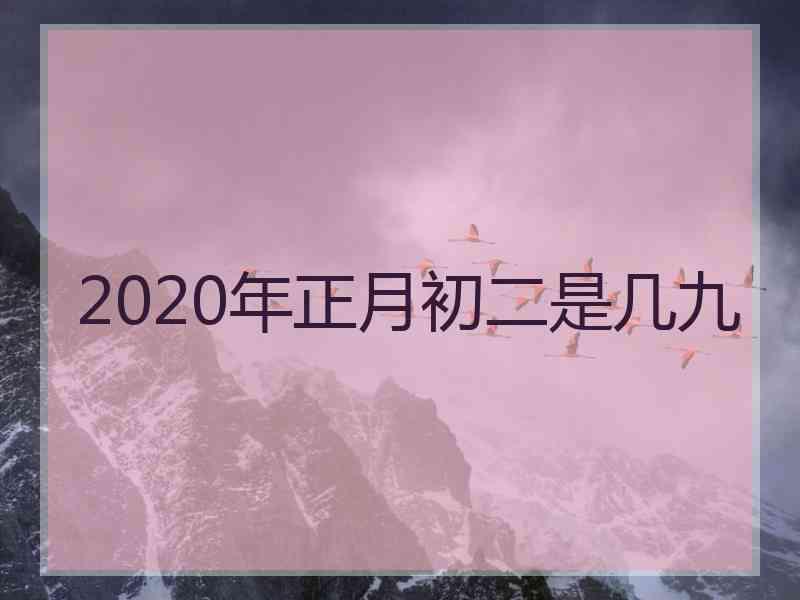 2020年正月初二是几九