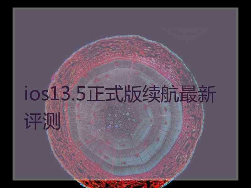 ios13.5正式版续航最新评测