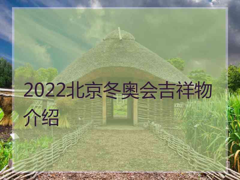 2022北京冬奥会吉祥物介绍